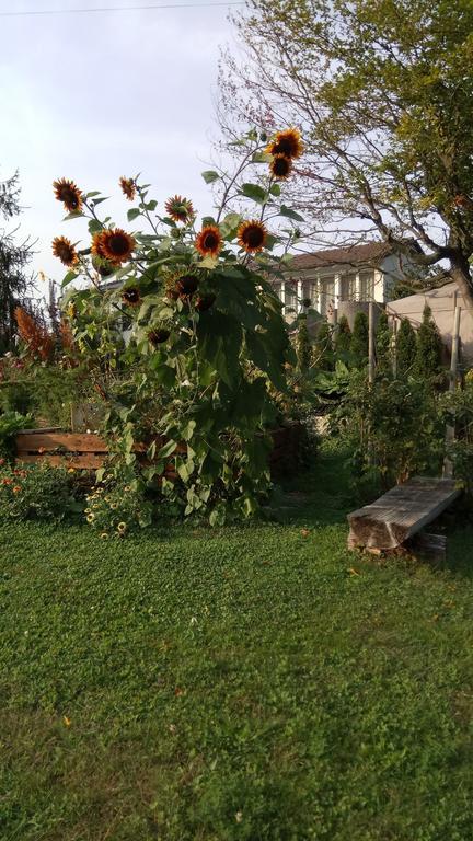 Rose-Marie'S Paradies Appartamento Aesch Esterno foto