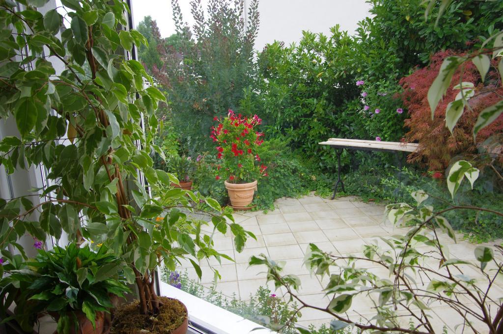 Rose-Marie'S Paradies Appartamento Aesch Esterno foto