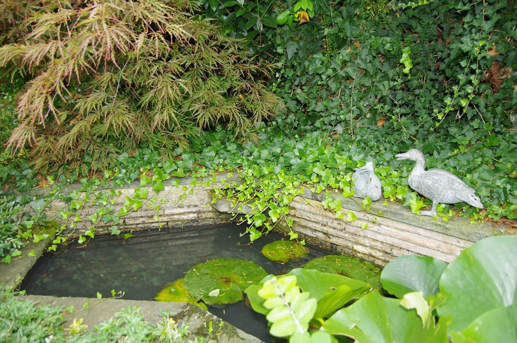 Rose-Marie'S Paradies Appartamento Aesch Esterno foto