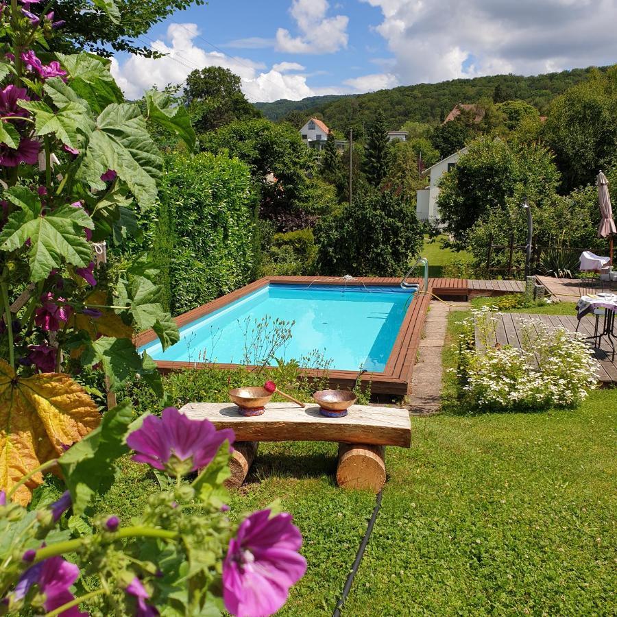 Rose-Marie'S Paradies Appartamento Aesch Esterno foto